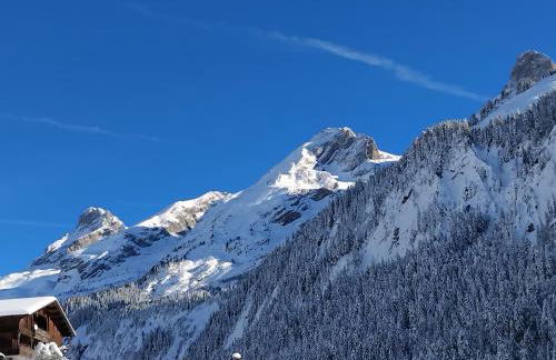 Le balcon de la pointe percée - Photo 4