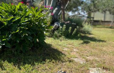 Mare i Kate Apartmani - Foto 18