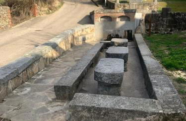 Nido Estebana - Foto 53