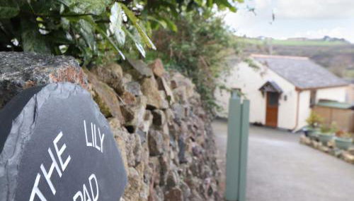 The Lily Pad - Foto 2