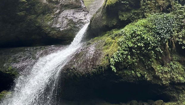 Rota em plena natureza