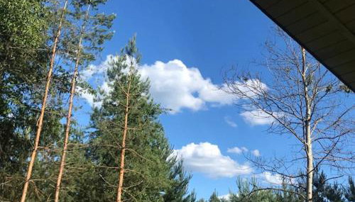 Leśny Domek - Foto 4