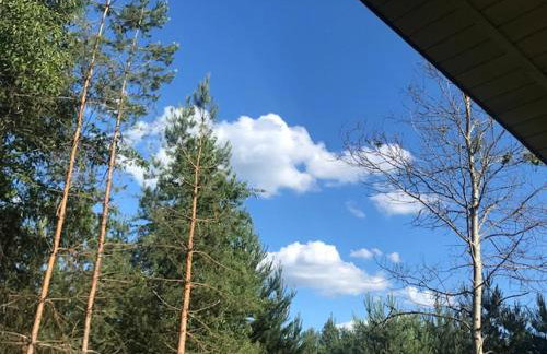 Leśny Domek - Foto 4