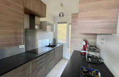 Appartement 2 chambres terrasse vue mer - Foto 8