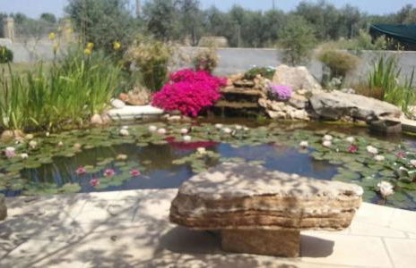 Villa Martina nel Salento - Foto 43