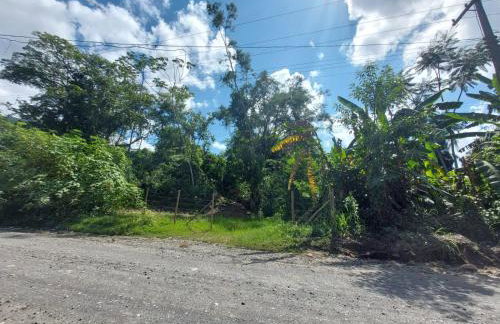 Casa Petar Betari - Photo 7