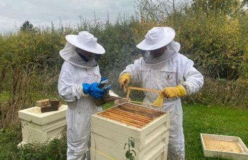 Entire flat 2 to 4 pers 1 bed 1 bath disabled access for limited disability - Foto 38