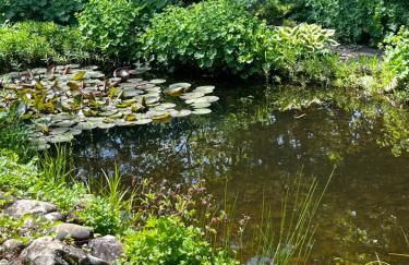 Alb Landhaus - Foto 15