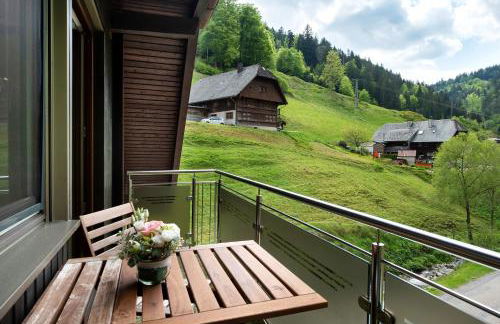 Ferienwohnung Glashütte - Foto 24