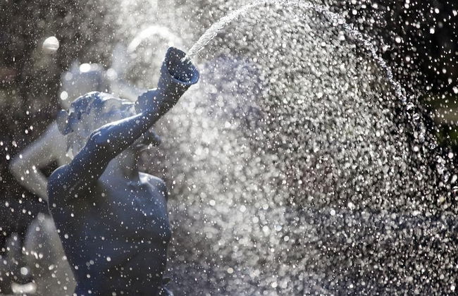 Southern Belle Carriage House - Photo 26