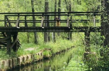 Spreewaldhaus Raddusch, Boote- Fahrräder gratis - Foto 22