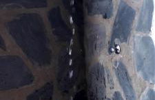 Casa rural Alessia with jacuzzi ,garden & swimming pool - Foto 21