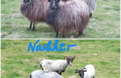 Souterrainwohnung im Grünen - Foto 46