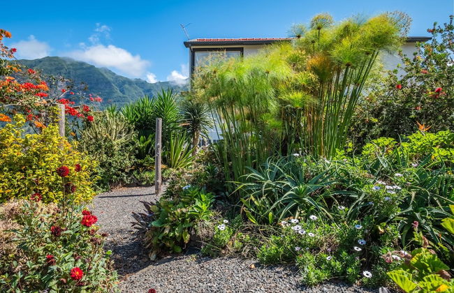 Landure Penthouse by Madeira Sun Travel - Foto 13