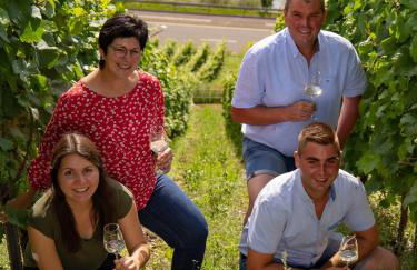 Weingut Christoph Müller - Foto 13