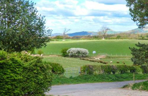 Horseshoe Cottage - Photo 15