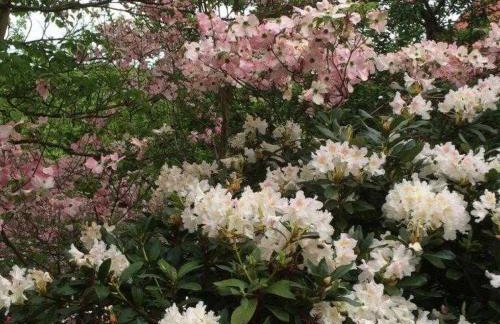 Ferienwohnung Kopf - Photo 8