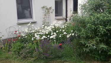 Ferienwohnung - a44958 - Foto 4