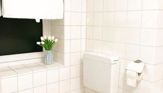 Rheinblick und Yachthafen mit privatem Stellplatz - Foto 3