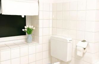 Rheinblick und Yachthafen mit privatem Stellplatz - Foto 3