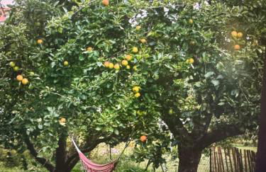 Kapitänshaus - Foto 9