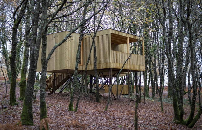 Enoturismo María Manuela - Photo 43