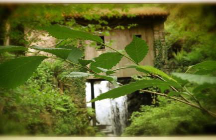 Amaiurko Errota - Foto 12