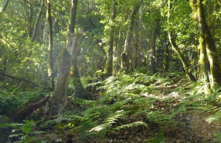 El Tangaro - Foto 36