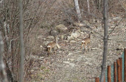 Ospitalita' Rurale Casa Cani - Photo 21