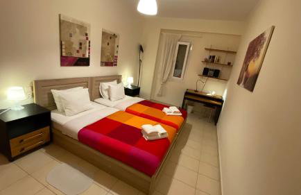 Patras Palm Tree - Foto 26