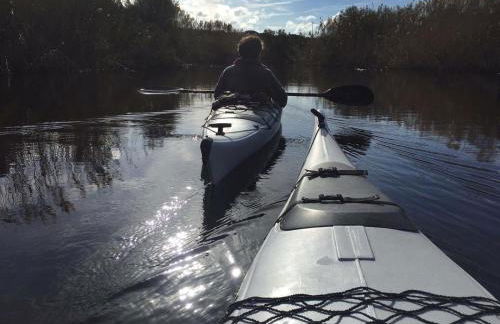 Agriturismo Campesi casale tra le vigne - Photo 65