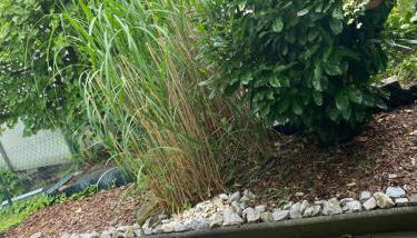 Schöne Ferienwohnung mit Terrasse, nur 2 Minuten zur Autobahn - Foto 3