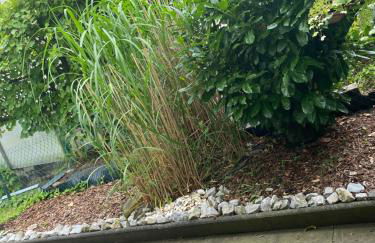 Schöne Ferienwohnung mit Terrasse, nur 2 Minuten zur Autobahn - Foto 3