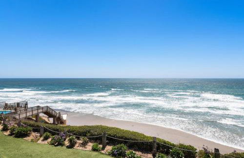 SandyToes-SunKist Nose-CHAT2 - Foto 24