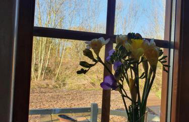 Beautiful Wooden tiny house, Glamping cabin with hot tub 2 - Foto 21