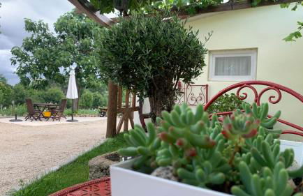 Quinta Vale Salgueiro - Foto 51