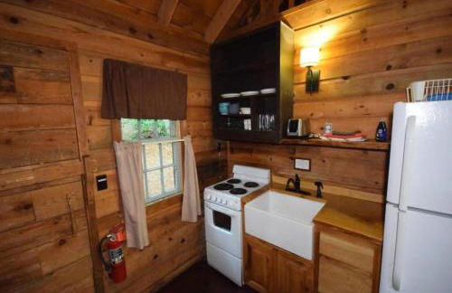South Fork cabin at Cabin Fever in NC - Foto 16