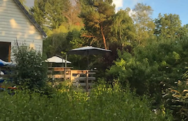 Peaceful Countryside Home - Foto 21