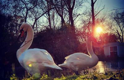 Bordallo's Lodge - centro Caldas da Rainha - Foto 37