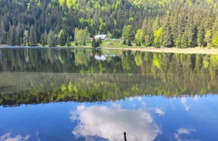 Lieblingsplatz - Foto 26