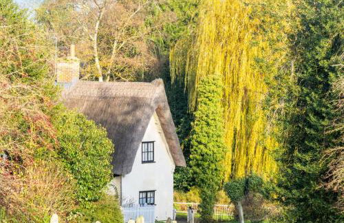 The Thatched Lodge - Foto 1