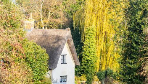 The Thatched Lodge - Foto 1