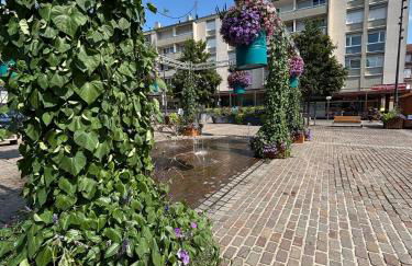 La Vue des Vignes - Foto 12