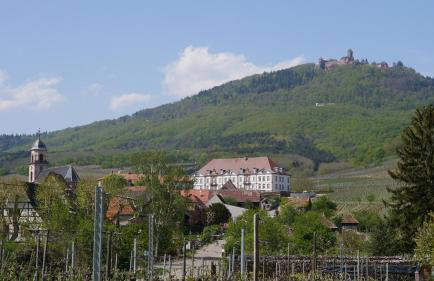 La Cour St-Fulrad - Appartements - Foto 33