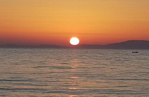 Dolphin view with a pool by the beach - Foto 28