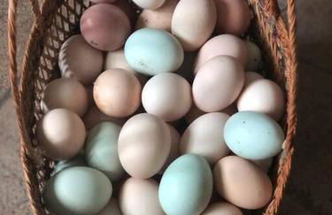 El Majuelo 2 - Foto 35