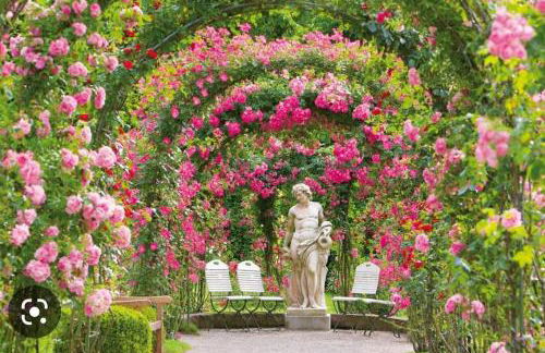 Royal Apartment - Foto 43