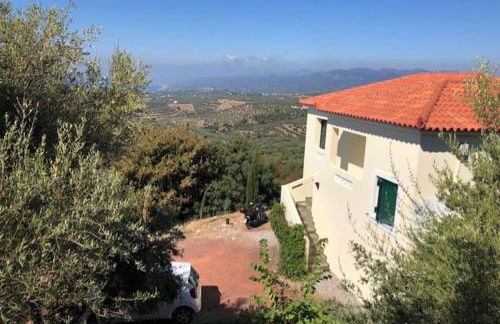 Kyparissia De Wandelboom - Foto 21