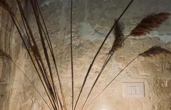 Wanderlust Beach Apartment - Foto 8