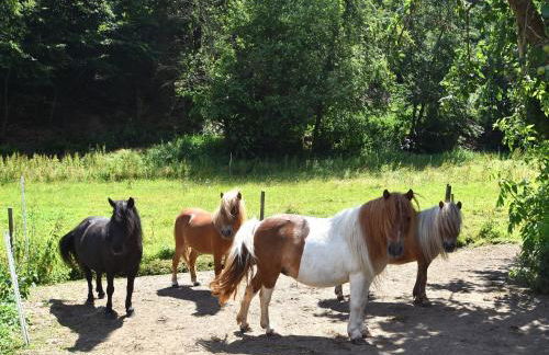 Charmante Wohnung mit Eigener Terrasse - Foto 42